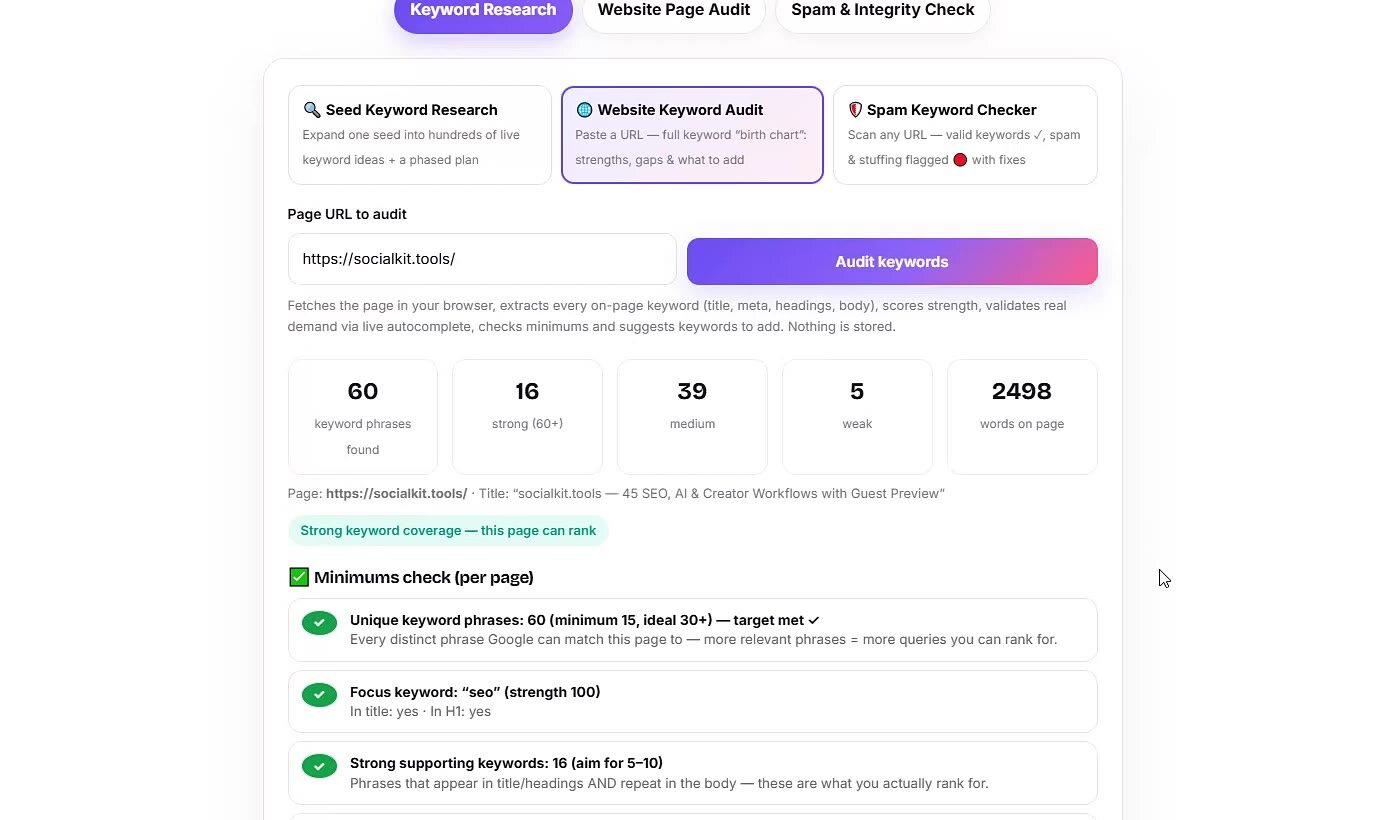 Keyword Intelligence Studio website page audit result example