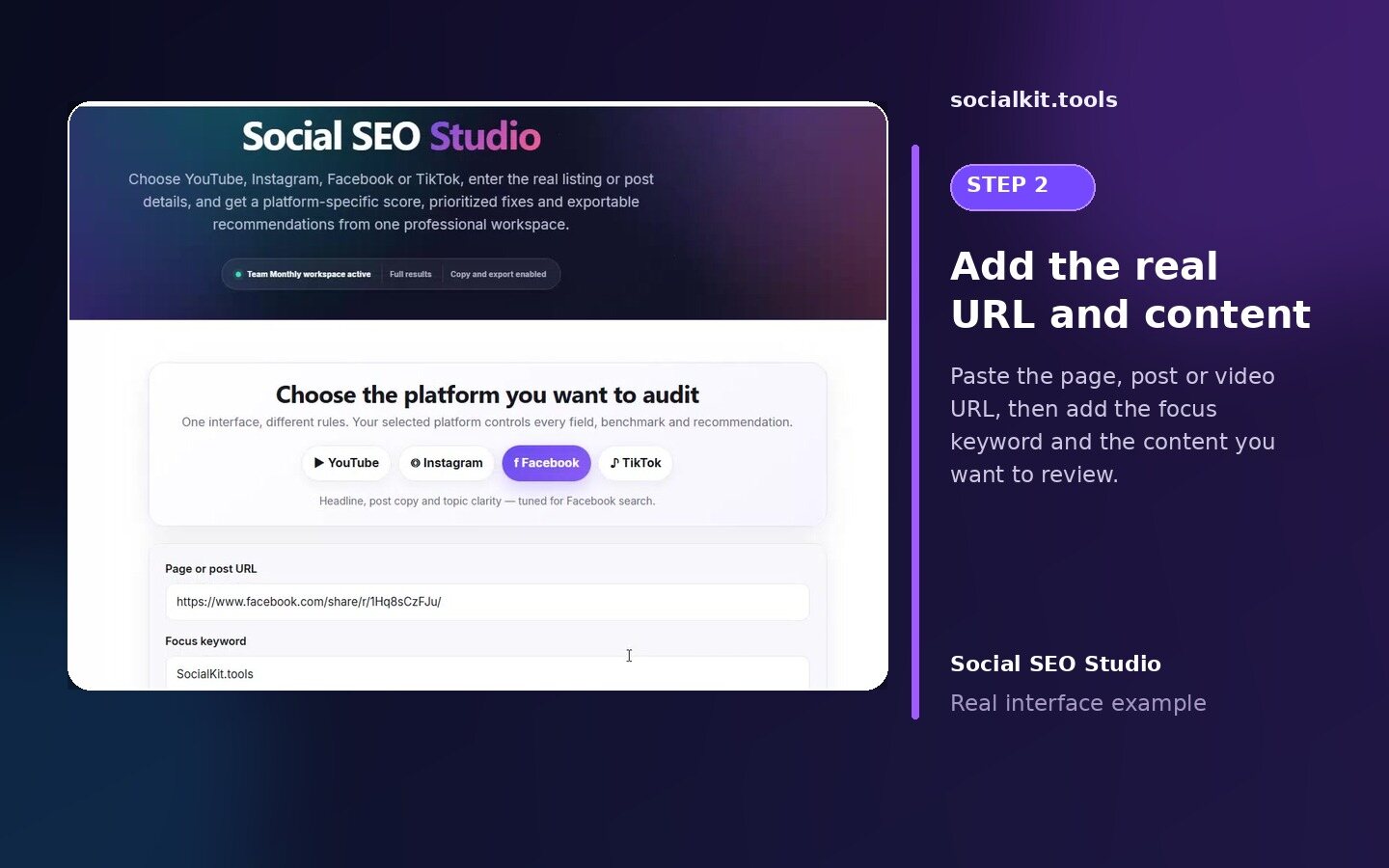 Add a real URL and content fields in Social SEO Studio